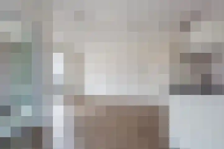 Willibrorduslaan 3 b Eersel thumbnail 19