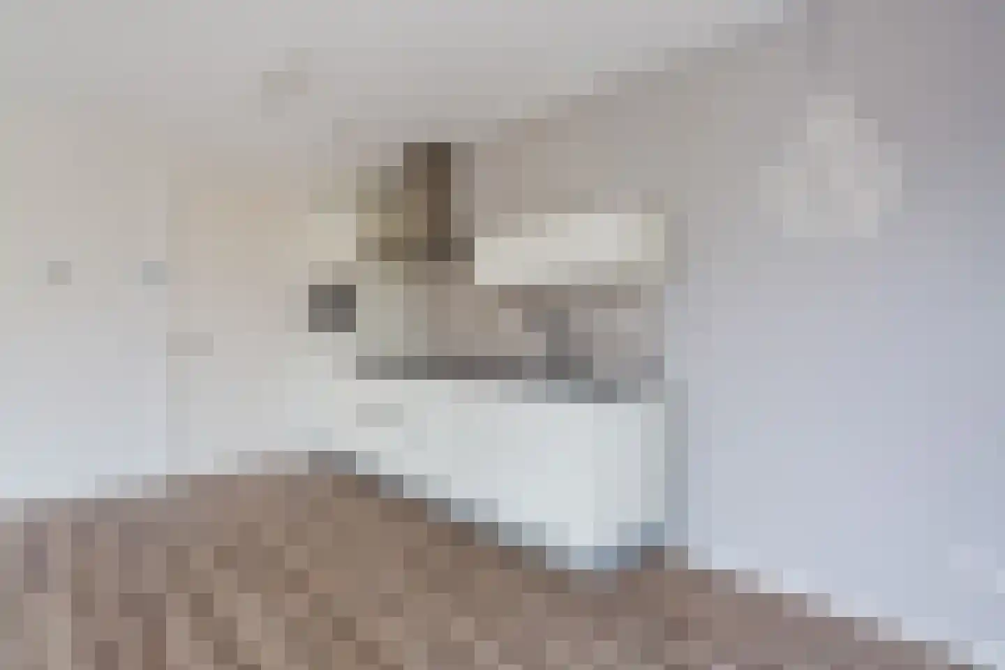 Willibrorduslaan 3 b Eersel thumbnail 21