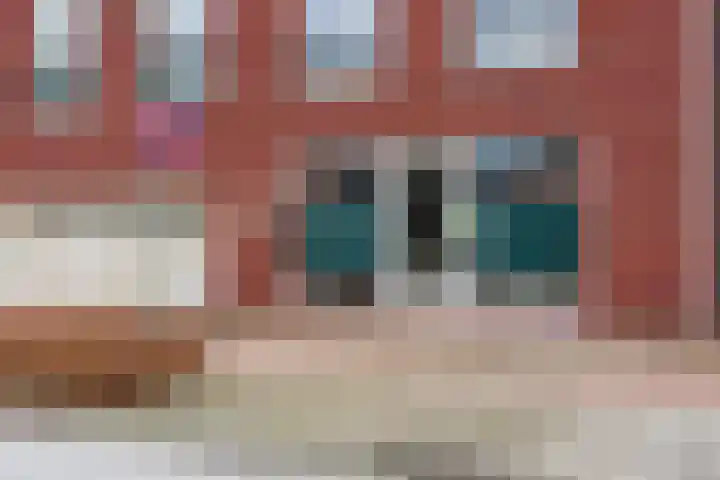 Willibrorduslaan 3 b Eersel thumbnail 9