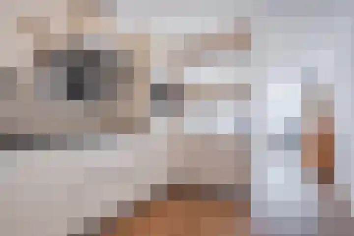 Willibrorduslaan 3 c Eersel thumbnail 13
