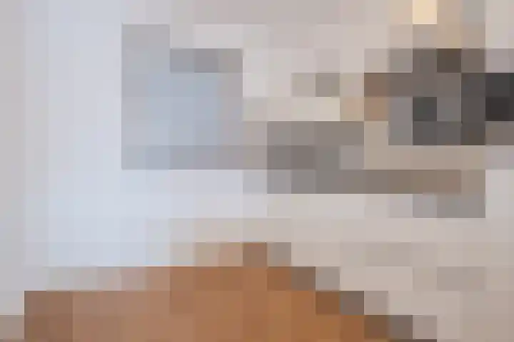 Willibrorduslaan 3 c Eersel thumbnail 14