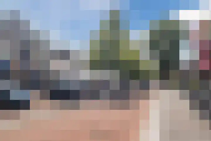 Willibrorduslaan 3 c Eersel thumbnail 27