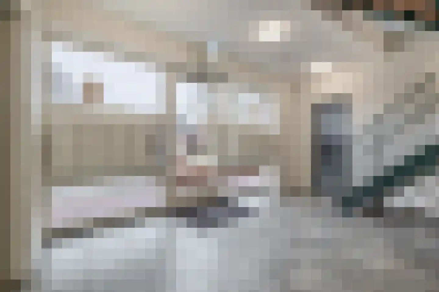 Willibrorduslaan 3 h Eersel thumbnail 6