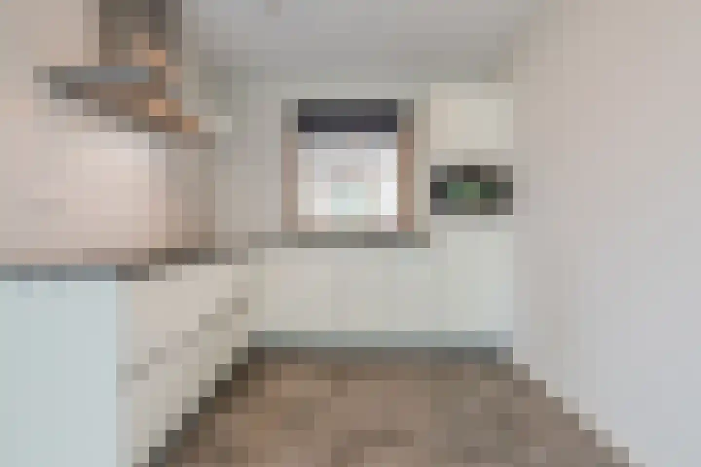 Willibrorduslaan 3 z Eersel thumbnail 21