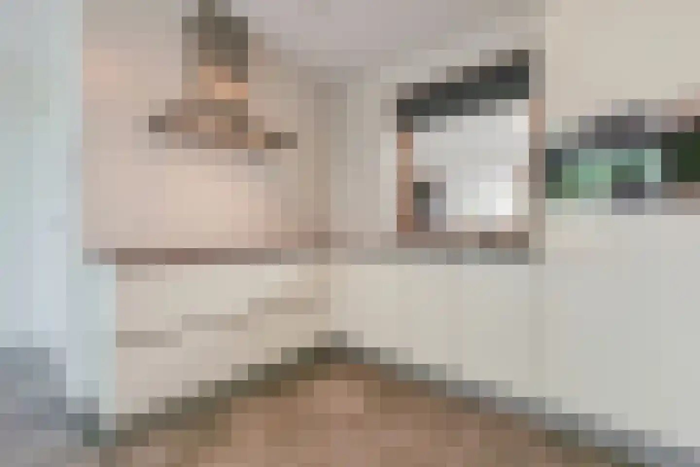 Willibrorduslaan 3 z Eersel thumbnail 22