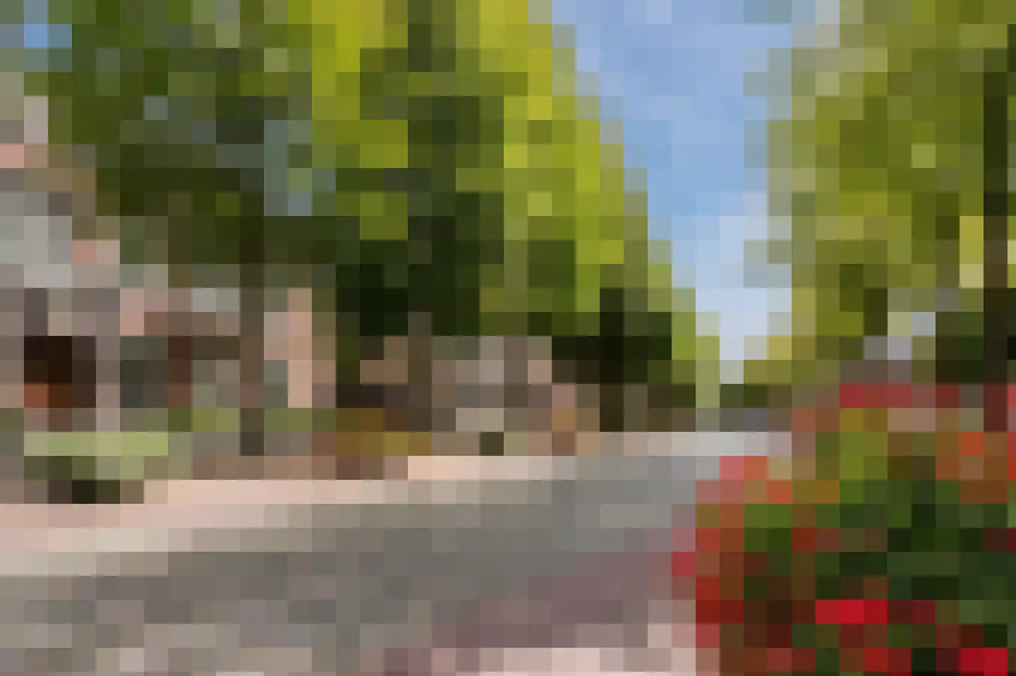 Willibrorduslaan 3 z Eersel thumbnail 40