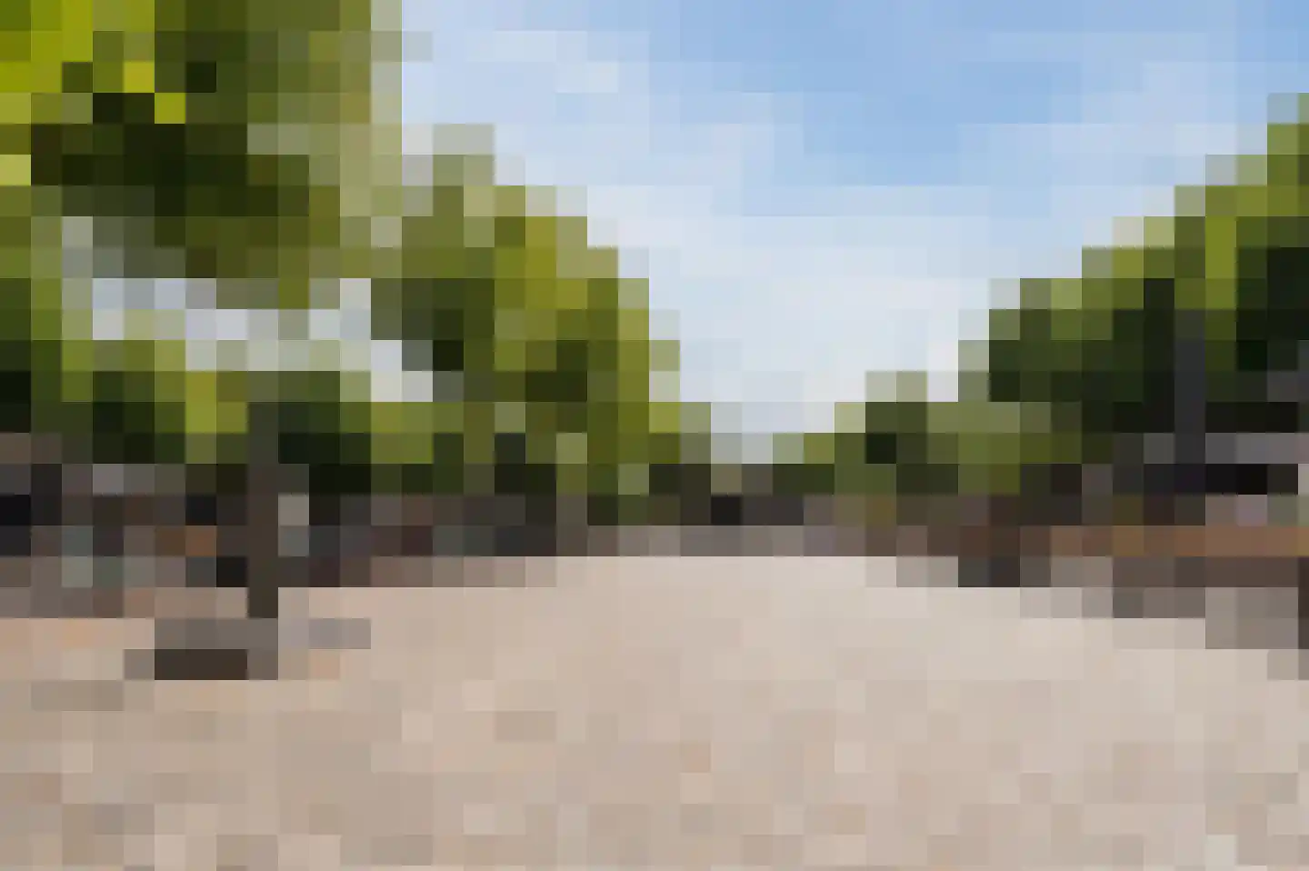 Willibrorduslaan 3 z Eersel thumbnail 41