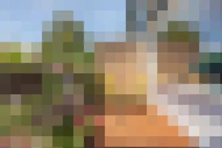 Willibrorduslaan 30 Hilversum thumbnail 15