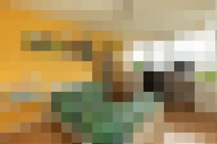Willibrorduslaan 30 Hilversum thumbnail 18