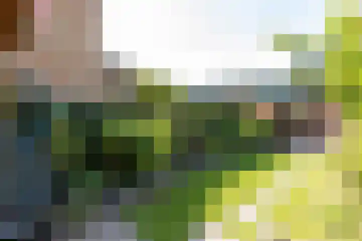 Willibrorduslaan 30 Hilversum thumbnail 25