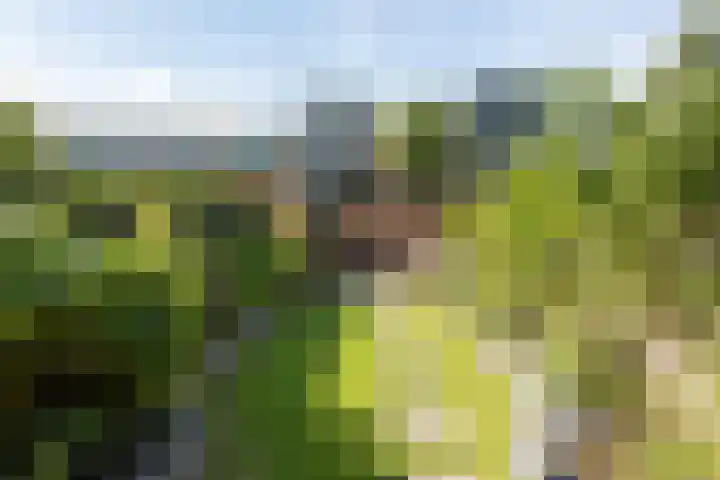Willibrorduslaan 30 Hilversum thumbnail 26