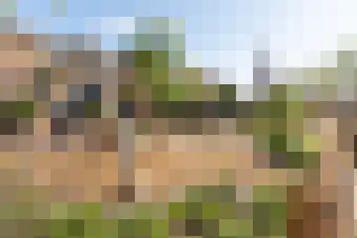 Willibrorduslaan 30 Hilversum thumbnail 28