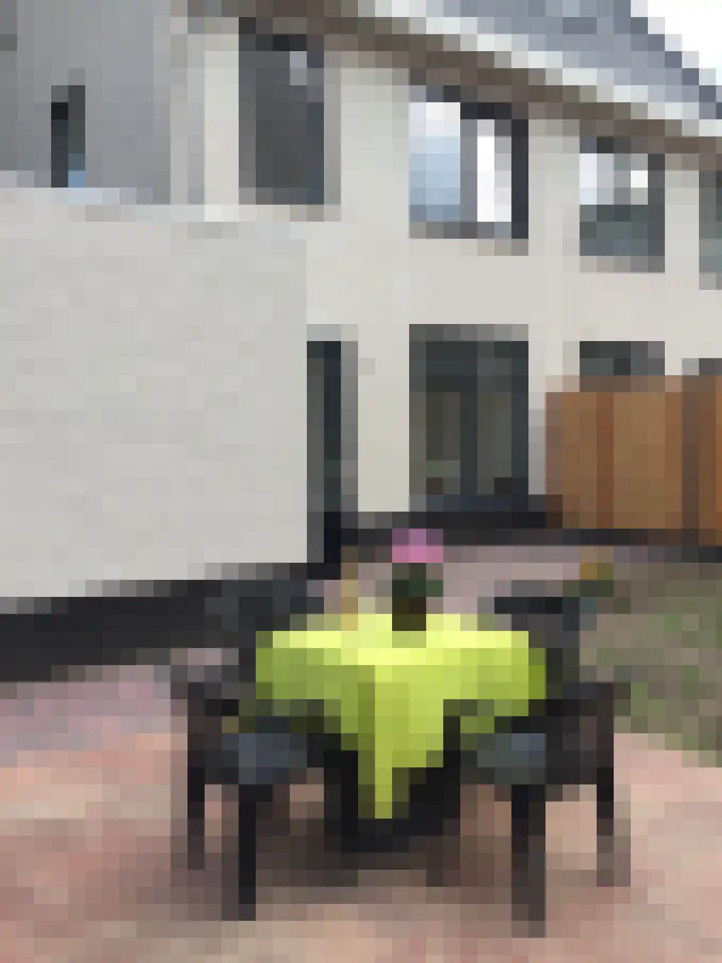 Willibrorduslaan 35 Waalre thumbnail 35