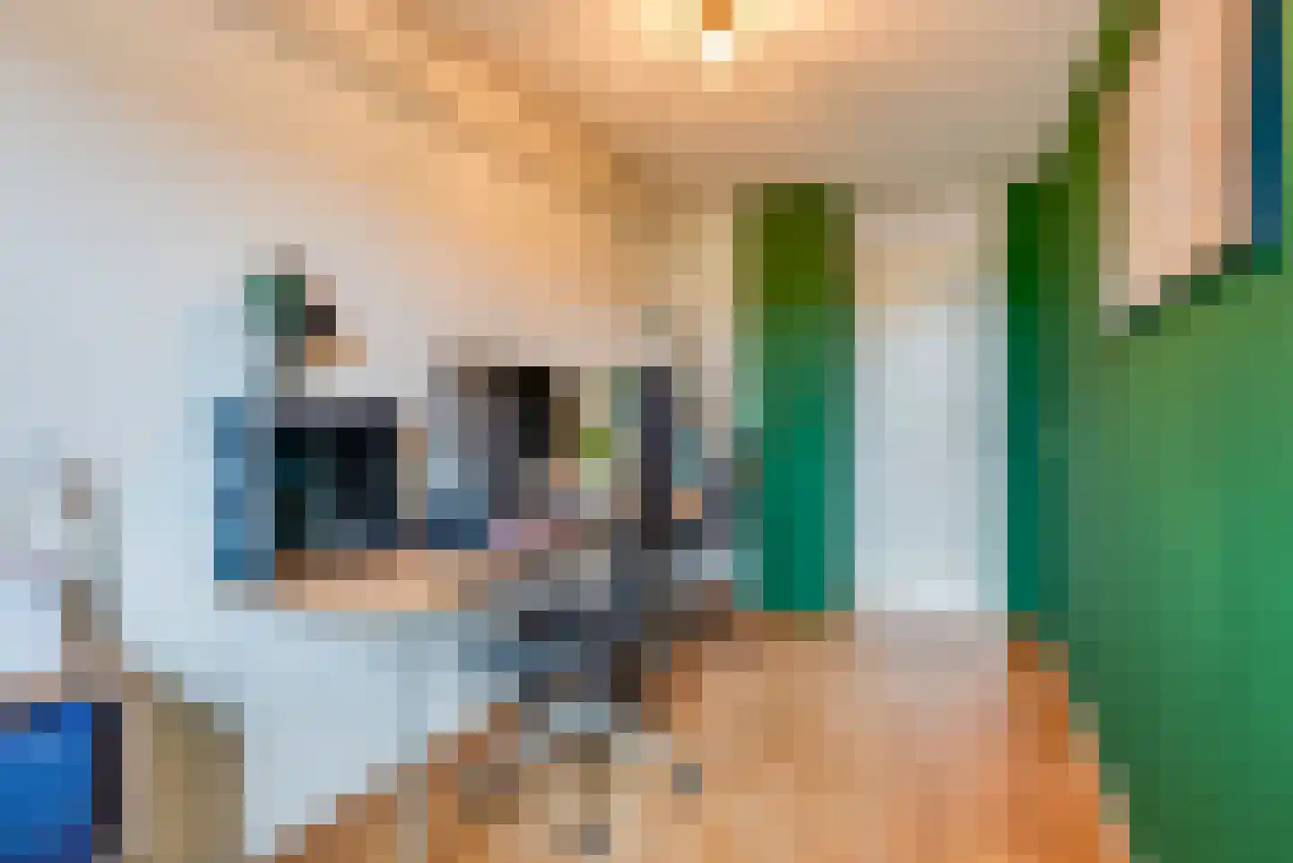 Willibrorduslaan 39 Hilversum thumbnail 38