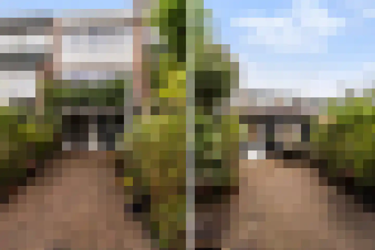 Willibrorduslaan 42 Hilversum thumbnail 23