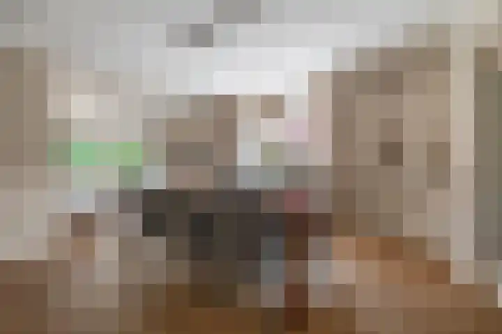 Willibrorduslaan 48 Eersel thumbnail 11