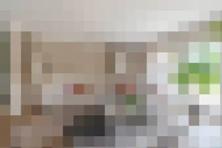 Willibrorduslaan 48 Eersel thumbnail 14