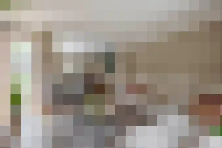 Willibrorduslaan 48 Eersel thumbnail 15