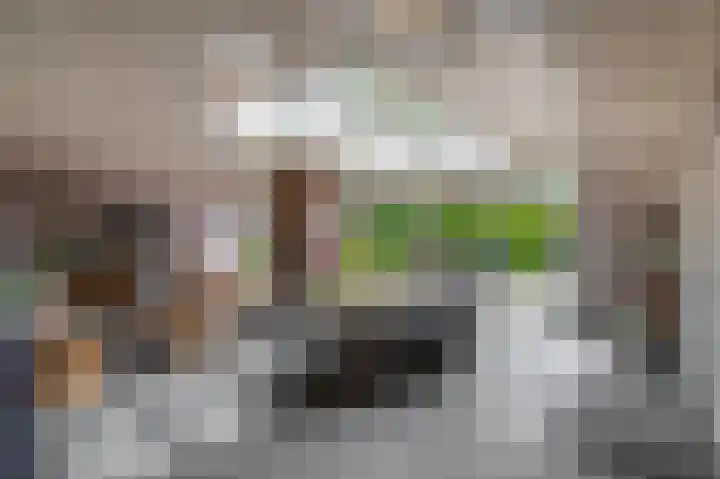 Willibrorduslaan 48 Eersel thumbnail 33