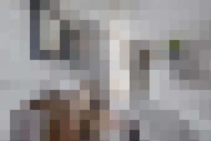 Willibrorduslaan 48 Eersel thumbnail 4