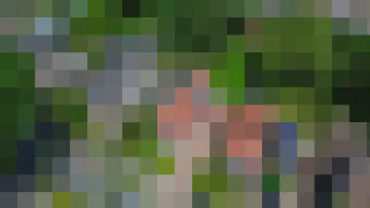 Willibrorduslaan 48 Eersel thumbnail 47
