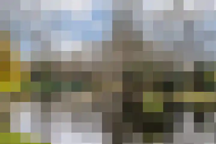 Willibrorduslaan 49 Sassenheim thumbnail 23