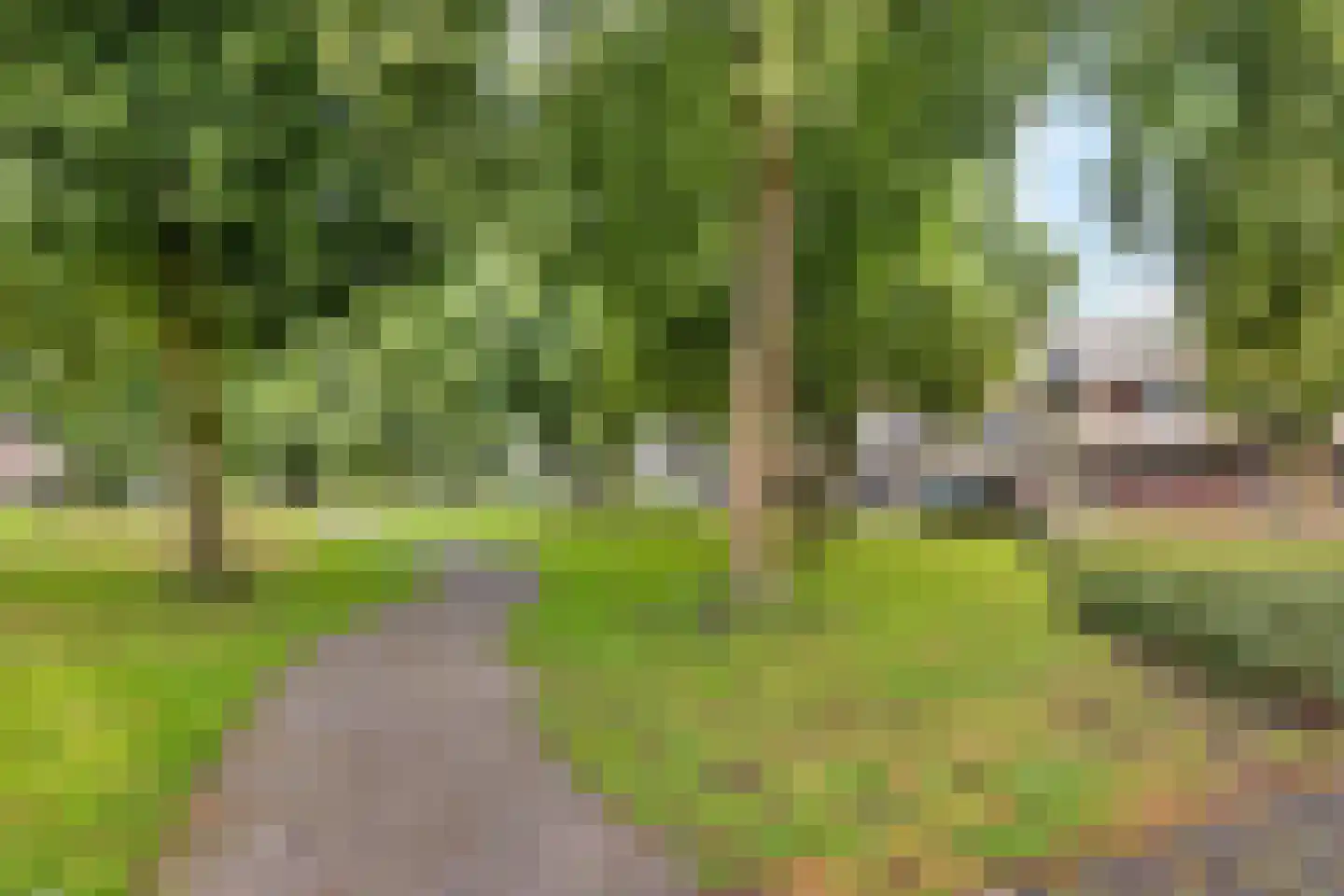 Willibrorduslaan 49 Valkenswaard thumbnail 4