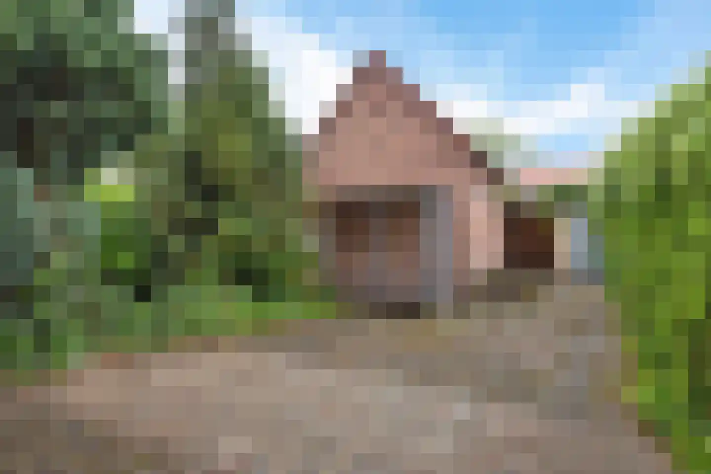 Willibrorduslaan 49 Valkenswaard thumbnail 42