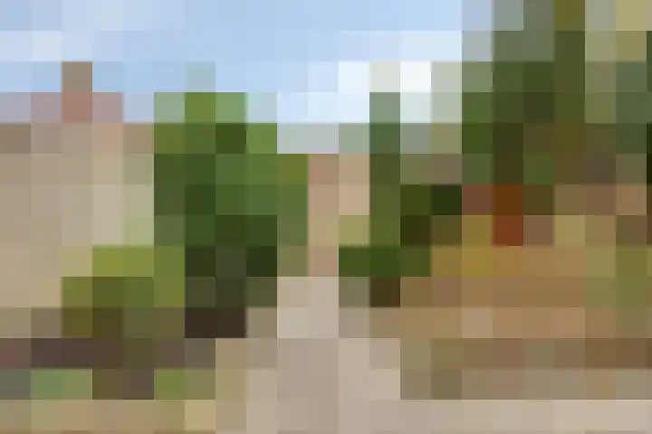 Willibrorduslaan 56 Valkenswaard thumbnail 31