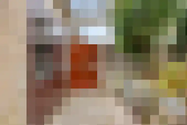 Willibrorduslaan 56 Valkenswaard thumbnail 33
