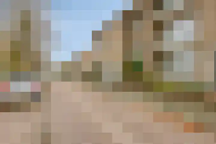Willibrorduslaan 56 Valkenswaard thumbnail 36