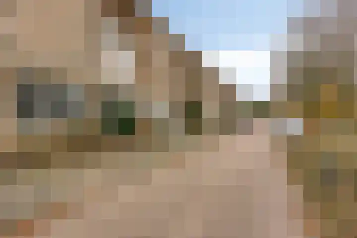 Willibrorduslaan 56 Valkenswaard thumbnail 37