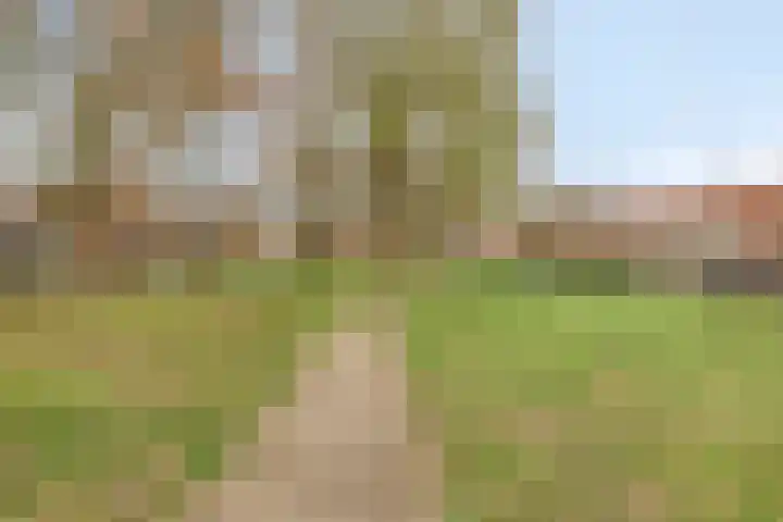 Willibrorduslaan 56 Valkenswaard thumbnail 38