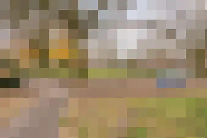 Willibrorduslaan 56 Valkenswaard thumbnail 39