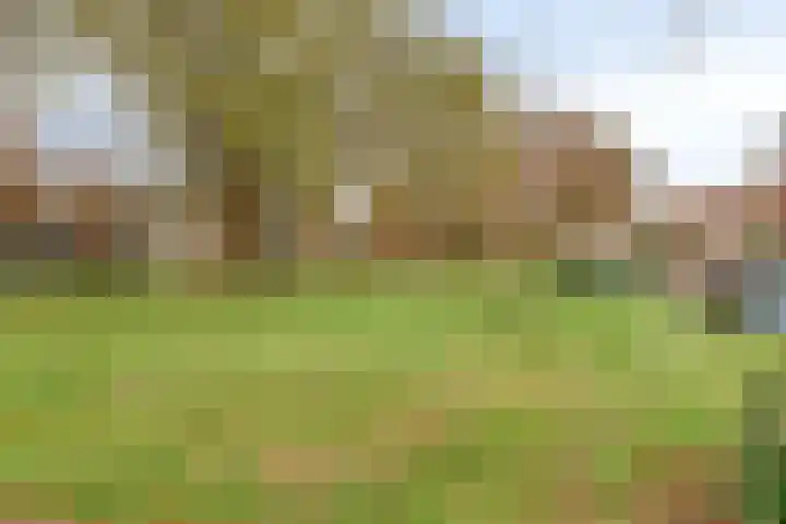 Willibrorduslaan 56 Valkenswaard thumbnail 40