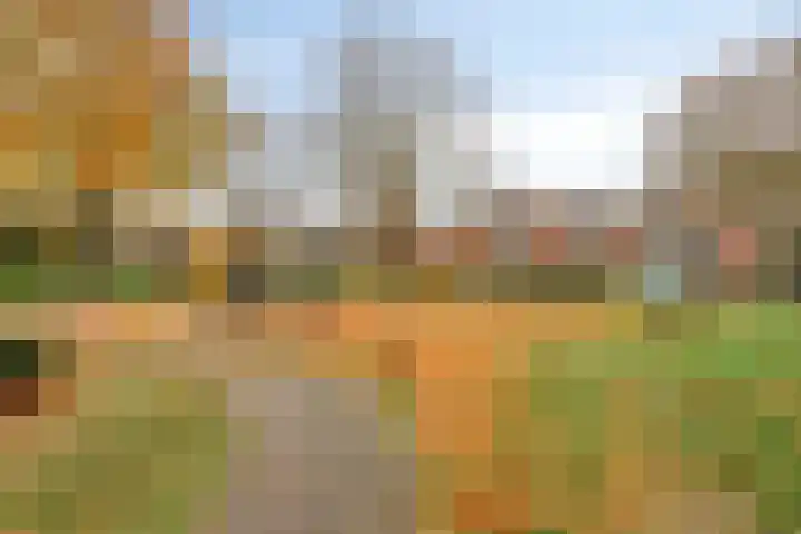 Willibrorduslaan 56 Valkenswaard thumbnail 41
