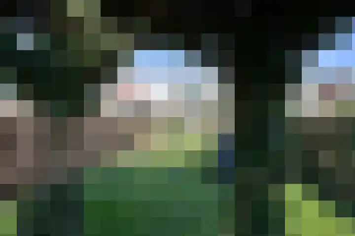 Willibrorduslaan 57 Hilversum thumbnail 22