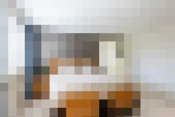 Willibrorduslaan 60 Waalre thumbnail 23