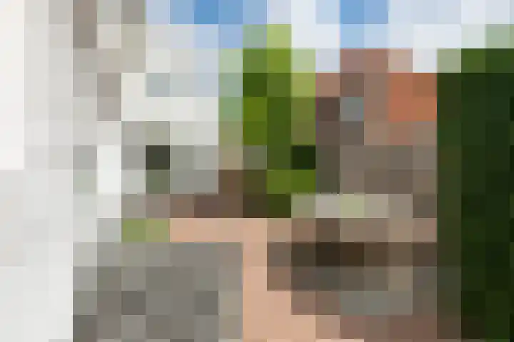 Willibrorduslaan 60 Waalre thumbnail 32