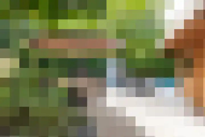 Willibrorduslaan 60 Waalre thumbnail 34