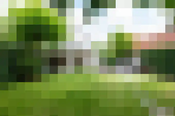 Willibrorduslaan 60 Waalre thumbnail 36