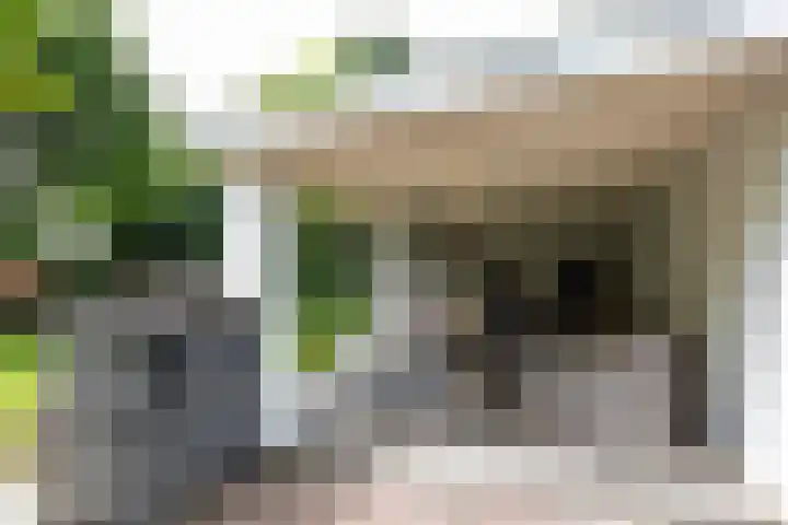 Willibrorduslaan 60 Waalre thumbnail 37