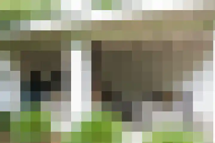 Willibrorduslaan 60 Waalre thumbnail 38