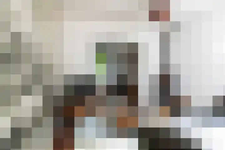 Willibrorduslaan 60 Waalre thumbnail 4