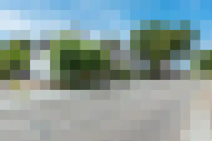 Willibrorduslaan 60 Waalre thumbnail 42