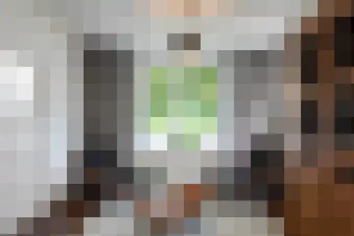 Willibrorduslaan 60 Waalre thumbnail 6
