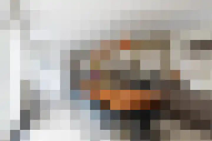 Willibrorduslaan 60 Waalre thumbnail 8