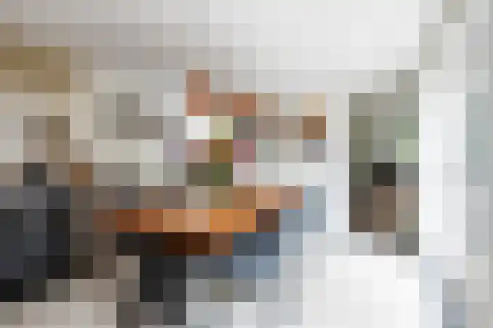 Willibrorduslaan 60 Waalre thumbnail 9