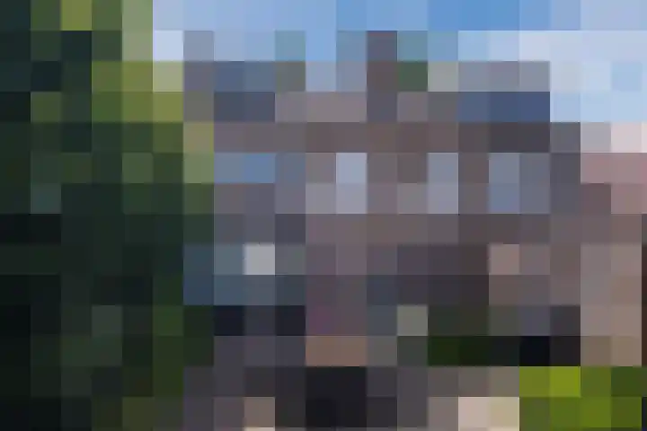 Willibrorduslaan 63 B Valkenswaard thumbnail 31