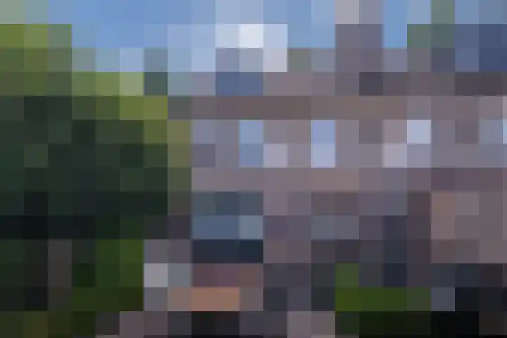 Willibrorduslaan 63 B Valkenswaard thumbnail 32